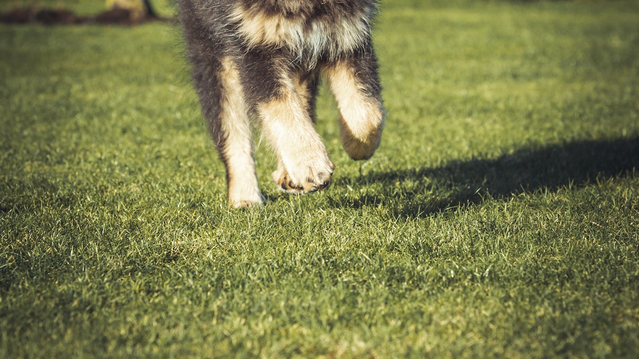 The world of entertainment is knocking at your doorstep, open it and embrace the change