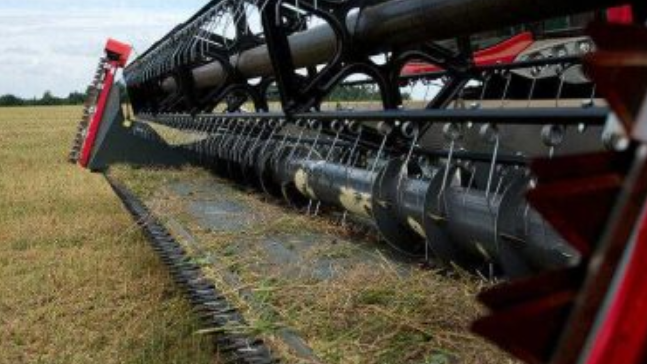 Tips for Finding the Perfect Evening Dress for You