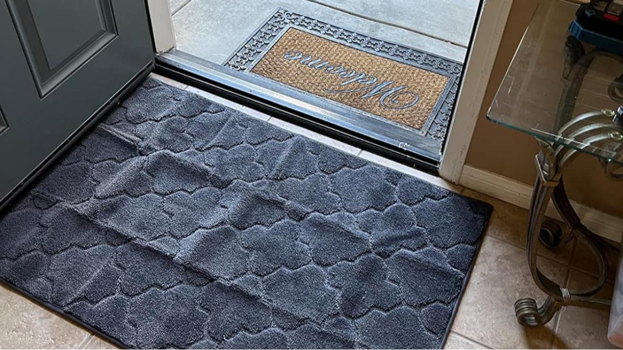 The Best Mud Doormats for Homes with Pets and Kids