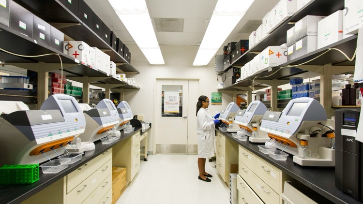 How to Qualify a Glutathione Powder Manufacturer for Repeat Supply
